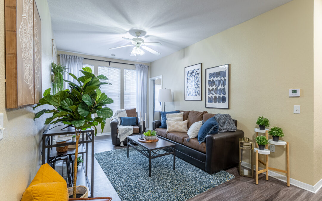 Moving Out? What HCC Students Need to Know About Student Apartments Tampa This Summer